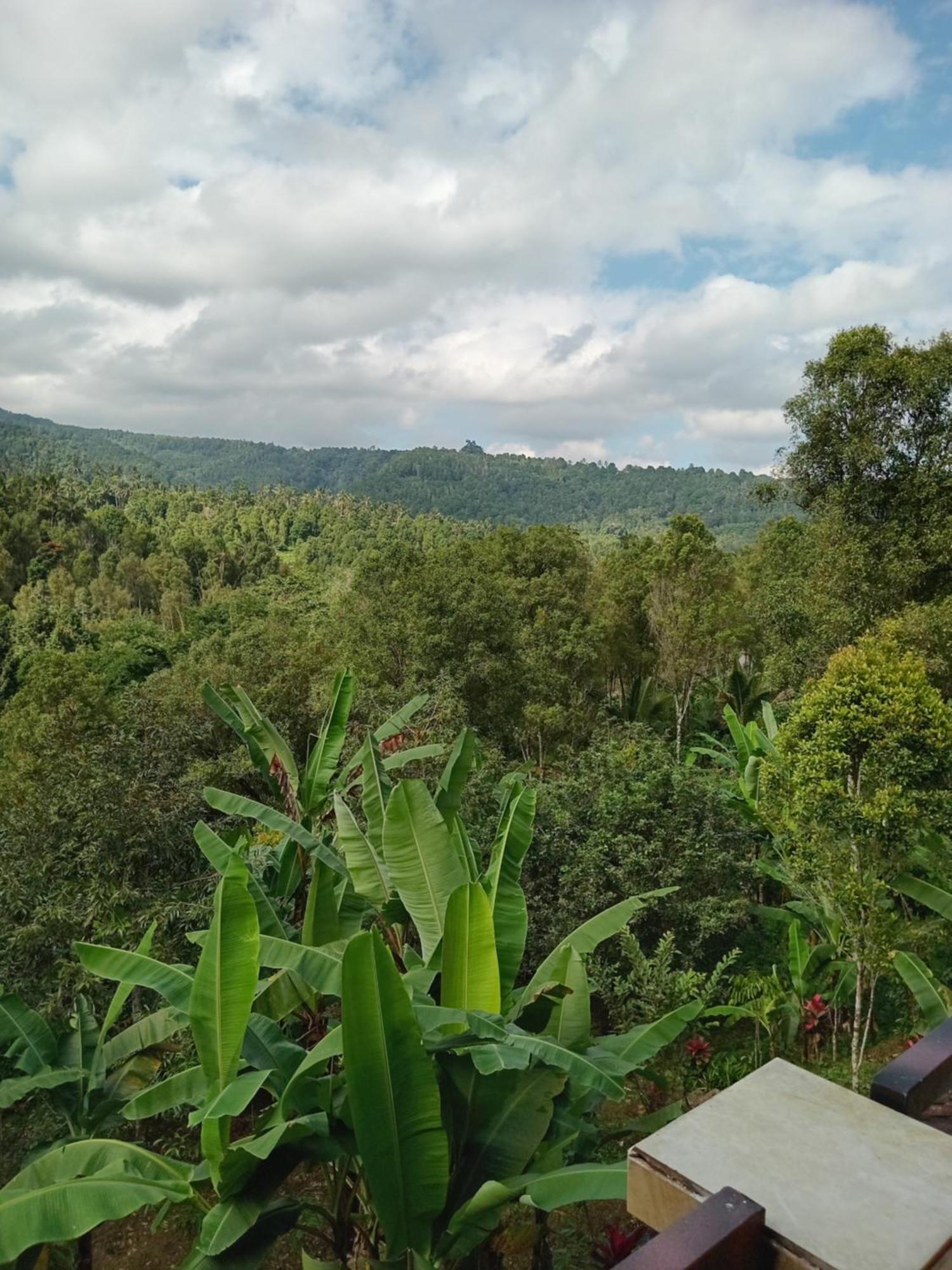 Kanaya Homestay & Warung Heaven Munduk  Bagian luar foto